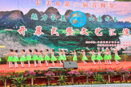 广西河池环江县长美乡举行第二届青梅节