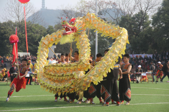 广西富川成功举办中国—东盟国际龙狮争霸赛